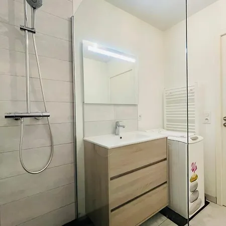 Apartment Bright In A New Building With Garage
